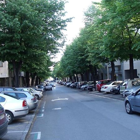 Botanical Garden Apartments Belgrad Zewnętrze zdjęcie